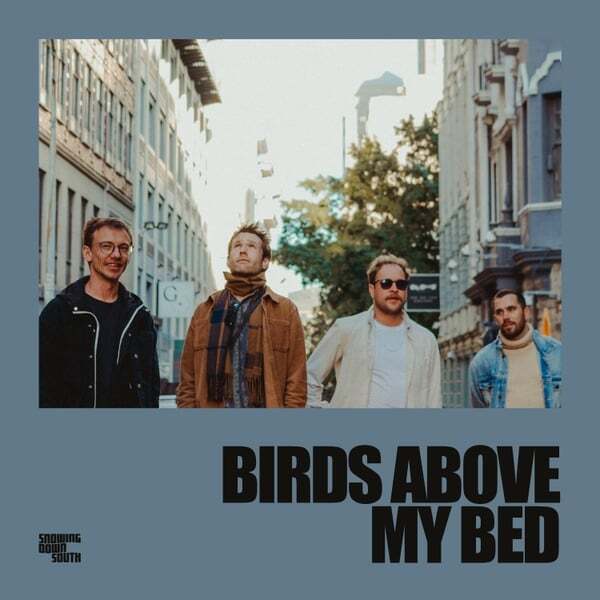 Cover art for Birds Above My Bed